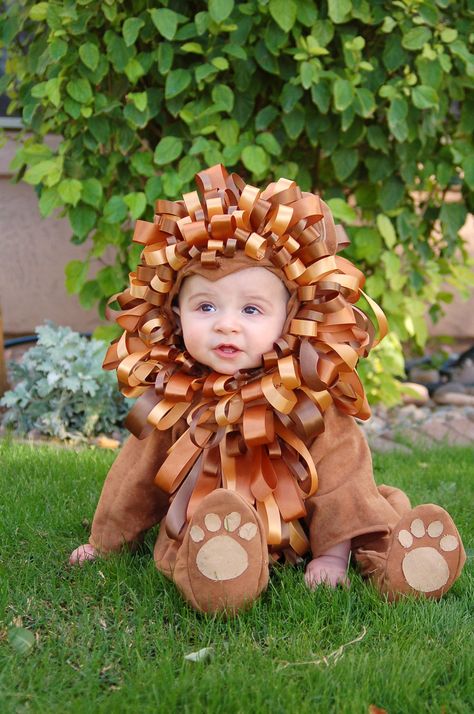 Roar!!!!!  Homemade Lion Costume! Homemade Lion Costume Kids, Lion Toddler Costume, Diy Lion Costume, Tutu Costumes Diy, Lion Costume Diy, Baby Lion Costume, Frankenstein Makeup, Animal Costumes For Kids, Lion Halloween Costume