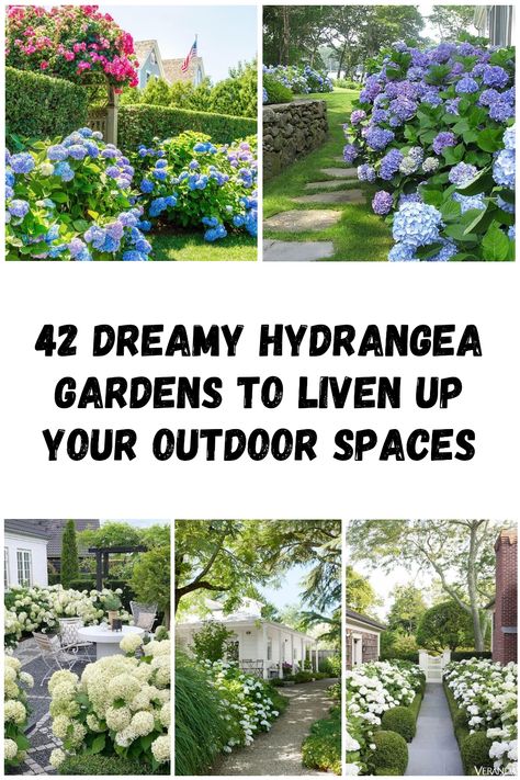 If you’re looking for a way to add a touch of romance and whimsy to your garden, look no further than hydrangeas.… Porch Hydrangeas, Hydrangea Flower Bed, Hydrangea Planters, Bloomstruck Hydrangea, Accent Plants, Boxwood Landscaping, Hydrangea Tree, Hydrangea Landscaping, Annabelle Hydrangea