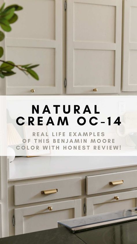 My Candid Review of Natural Cream OC-14 by Benjamin Moore Heavy Cream Paint Color Behr, Benjamin Moore Cream Cabinet Colors, Cream With White Trim, Revere Pewter Vs Natural Cream, Rocky Beach Benjamin Moore, Natural Cream Benjamin Moore Color Palette, Unmarked Trail Behr Paint, Benjamin Moore Cabinets Colors, Mcgee And Co Cabinet Colors