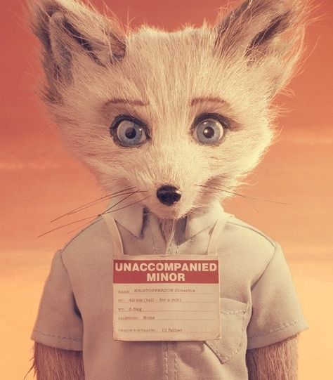 Unaccompanied minor Animorphic Characters, Wes Anderson Aesthetic, Fantastic Fox, Wes Anderson Movies, Wes Anderson Films, Moonrise Kingdom, Septième Art, Fantastic Mr Fox, Mr Fox