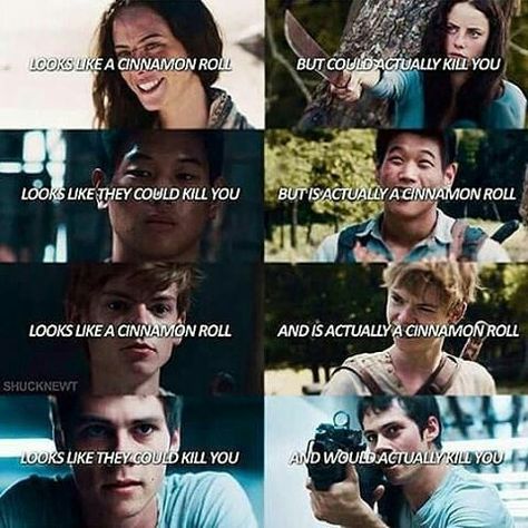 True. Funny Maze Runner, Trendy Iphone Wallpaper, Wallpaper Disney Princess, Iphone Wallpaper Disney, Maze Runner Quotes, Runner Quotes, Maze Runner Thomas, Maze Runner Trilogy, Maze Runner Funny