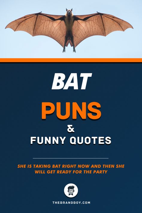 Quotes About Bats, Bat Puns Halloween, Bat Quotes Halloween, Bat Quotes, Bat Poems, Fly In The Sky, Hilarious Puns, Bat Baseball, Bat Boys