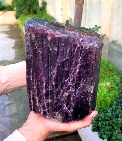 ❇️ Scapolite ❇️ Weight : 6.5kg Size : 185*160 mm Locality: Sar e Sang , Kokcha Valley, Badakhshan Afghanistan. Purple Color Scapolite Crystal Its Huge size crystal with amazing purple color. Crystal is complete with self healed terminations. Its self standing and aesthetic crystal. Its very rare to find such huge size scapolite crystal. #scapolite #rarecrystals #rareminerals #rarestone #crystallize #geologylife #cristal #crystallized #fineminerals #mineralcollection #minerales #mineralco... Cave Of Wonders, Badakhshan Afghanistan, Crystal Vibes, Fine Minerals, Rare Stone, Mineral Collection, Gadgets And Gizmos, Rock Bottom, Minerals And Gemstones