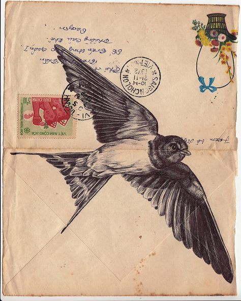 Birds Illustrated on Vintage Envelopes by Mark Powell paper illustration birds Mark Powell, Biro Drawing, Bird Reference, Going Postal, Envelope Art, Paper Illustration, Arte Sketchbook, Art And Illustration, Bird Drawings