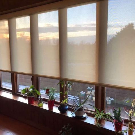 Roller Shades - Blinds Brothers Popular Window Treatments, Only Aesthetic, Solar Shades, Window Blinds, Roller Shades, Room Remodel, Room Remodeling, Shades Blinds, Blinds For Windows