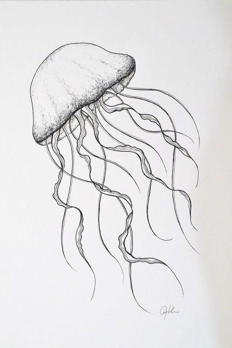 Drawing Ocean, Seashell Drawing, Acid Paper, Handmade Drawings, Jellyfish Illustration, Jellyfish Photography, Space Drawing, Beach Style Decorating, Ocean Illustration