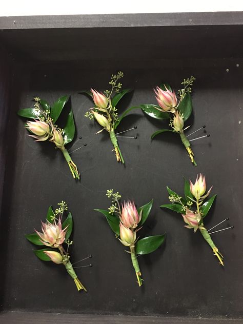 Protea Boutonniere, Corsage Wedding Mother, Blushing Bride Protea, Wedding Personal Touches, Wreath Crown, Protea Wedding, Bush Wedding, Flower Boquet, Dish Display