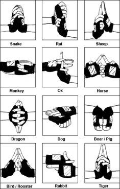 Naruto Hand Signs, Naruto Meme, Bahasa Jepun, Materi Bahasa Jepang, Sign Language Words, Language Works, Seni Dan Kraf, Naruto Comic, Naruto Shippuden Sasuke