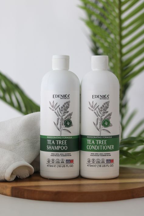 Edenika Botanicals' Tea Tree Shampoo and Conditioner Set. Green Tea Shampoo, Tea Tree Oil Shampoo, Tea Tree Shampoo, Vegan Hair Care, Shampoo And Conditioner Set, Lifeless Hair, Vegan Hair, Hair Healthy, Hair Product