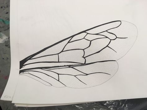 Pen drawing of a wing of a bug. Beetle Wings Drawing, Bee Wings Drawing, How To Draw Insects, Ladybug Wings, Bee Wings, Beetle Wings, Diy Wings, Insect Wings, Wings Drawing