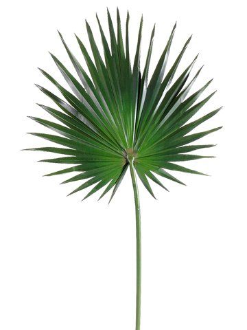 {Silk Fan Palm} Fan Palm Leaf, Tropical Chic Decor, Tropical Wedding Centerpieces, Artificial Palm Leaves, Greenery Wedding Decor, Silk Orchids, Fiesta Tropical, Fan Palm, Tropical Home Decor