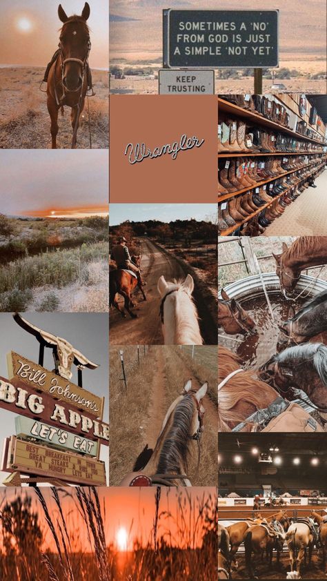 Western Aesthetic Wallpaper, Horse Background, Cute Iphone Wallpaper Tumblr, Cow Wallpaper, Country Backgrounds, Cow Print Wallpaper, Cute Home Screen Wallpaper, Cute Horse Pictures, Wallpaper Iphone Boho