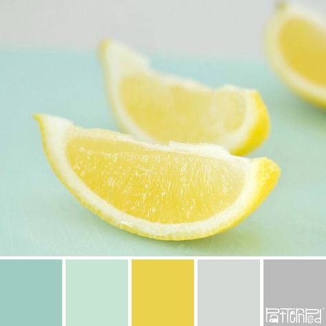 Lemon Mint  #patternpod #patternpodcolor #color #colorpalettes Mint Color Palette, Mint Color Palettes, Lemon Mint, Design Seeds, Kitchen Color, Tiny Kitchen, Mint Color, Kitchen Colors, Colour Schemes