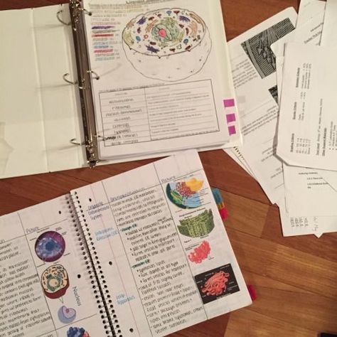 Biology Organization, Study Binder, Binder Notes, Notes Pictures, Cornell Notes, Ap Biology, College Organization, Study Techniques, Study Organization