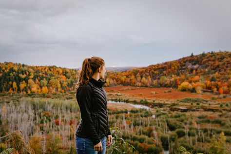 Agri-tourism: Eleven farms to visit in Ottawa’s Greenbelt - National Capital Commission Agri Tourism, Hiking Fall, Canadian Wildlife, Farm Visit, Support Local Farmers, Canadian History, Farm Tour, Autumn Park, Garden Harvest