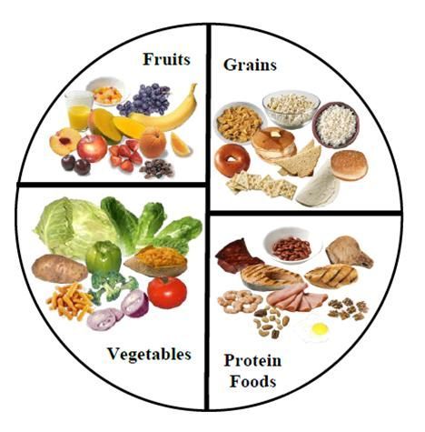 MyPlate Food Group Pyramid, Healthy Food Plate, Healthy Food Activities, Plate Template, Health Tonic, Food Health Benefits, Food Plate, Food Activities, My Plate