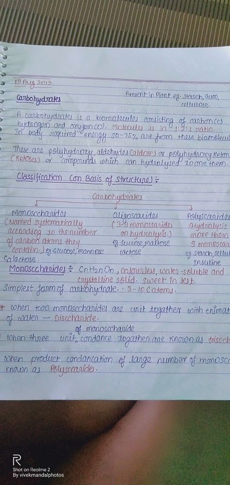 Platyhelminthes Notes, Carbohydrates Notes Biology, Biochemistry Notes Study Guides, Biochemistry Notes Carbohydrates, Biomolecules Notes Biology Class 11, Carbohydrates Biochemistry, Carbohydrates Notes, Biomolecules Notes Biology, Carbohydrates Biology