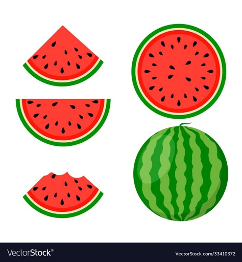 Watermelon Background, Watermelon Drawing, Watermelon Vector, Watermelon Benefits, Watermelon Art, Fruit Icons, Show Da Luna, Vector Food, Watermelon Slices