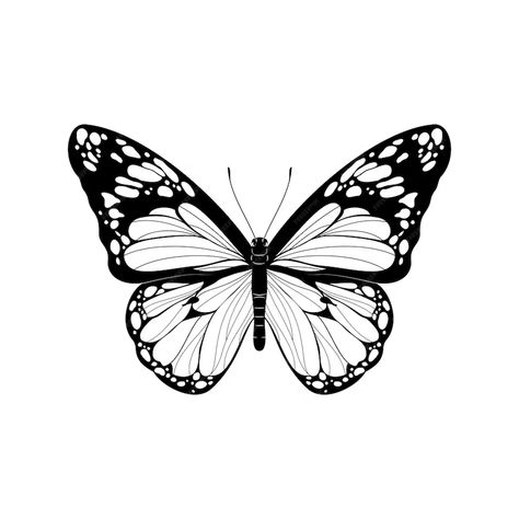 Premium Vector | Beautiful butterfly black and white butterfly vector illustration realistic hand drawn butterfly Aesthetic Butterfly Outline, Butterfly Illustration Black And White, Black Butterfly Drawing, Butterfly Drawing Black And White, Black And White Butterfly Drawing, Butterfly Illustration Design, Cute Butterfly Drawing, Butterfly Illustration Art, Black Butterfly Art