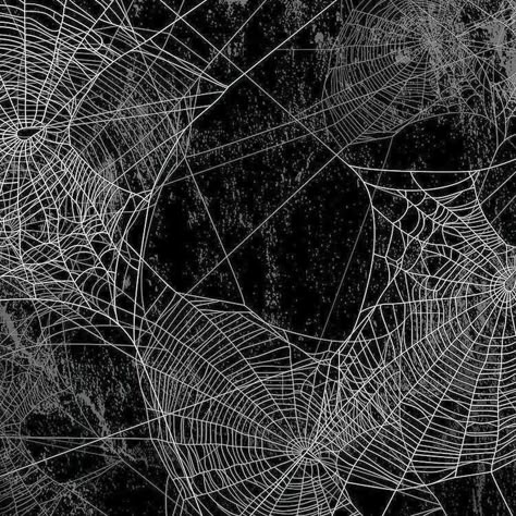 Blackbird Aesthetic, Spiderweb Aesthetic, Spider Web Aesthetic, Goth Moodboard, Spiderweb Background, Spider Aesthetic, Rowan Kane, Backgrounds Instagram, Crochet Filet