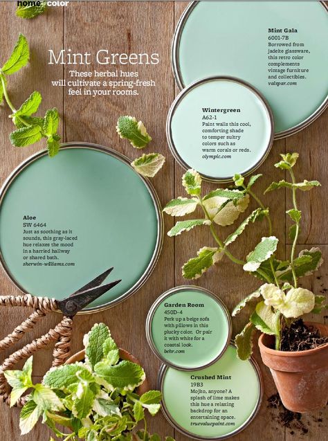 Mint Green Paint Colors - On-trend, but completely livable, take a cue from these mint green paint colors to soothe any room. "Mint greens are happy colors that work in a lot of different climates," designer Paige Sumblin Schnell says, as long as the room gets plenty of bright daylight. She favors shades of mint with more blue in them. To find the right shade, she fans out paint chips and goes with a mint that neighbors violet, rather than peach. Mint Green Paints, Feb 25, Green Paint Colors, Design Seeds, Interior Paint Colors, Paint Shades, Garden Features, Green Paint, Paint Chips