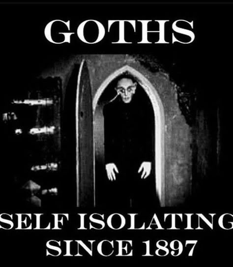 Ahhhhhh#goth #tradgoth #vampire Goth Humor, Goth Quotes, Goth Memes, Gothic Coffin, Goth Subculture, Goth Stuff, Dark And Mysterious, Vampire Goth, Gothic Aesthetic