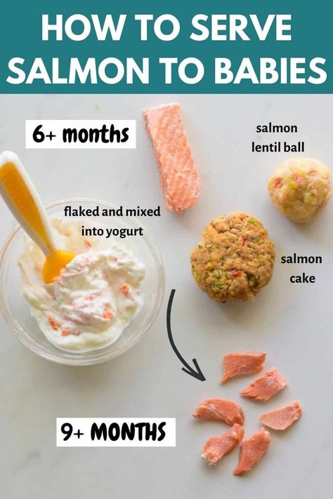 Salmon For 9 Month Old, Salmon For 8 Month Old, Salmon Puree For Baby, Salmon Recipe For Baby, Baby Salmon Recipe, Salmon Recipes For Baby, Salmon Baby Led Weaning, Salmon For Toddlers, Salmon Baby Food Recipes