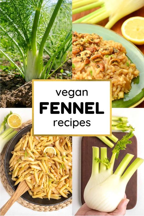 Wondering what to make with fennel? This collection of vegan fennel recipes is full of delicious dinners, fresh salads and easy side dishes. Fennel Gratin, Grilled Fennel, Fennel Recipe, Fennel Pasta, Easy Side Dishes, Vegan Cashew Cheese, Vegan Scones, Fennel Recipes, Fruit Scones