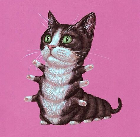 Casey Weldon / A cat-erpillar. My life is now complete Casey Weldon, Tuxedo Cat Art, Dream Painting, Pop Culture Art, Cat Art Print, Tuxedo Cat, Pop Surrealism, Calico Cat, Print Artist