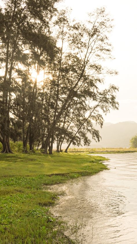 Peaceful nature vibe on lakeside - camping site. Mapanuepe Lake Zambales, Lake Mapanuepe, Philippines Province Aesthetic, Zambales Philippines, Au Pics, Farm Layout, Camping Places, 2023 Vision, Southeast Asia Travel