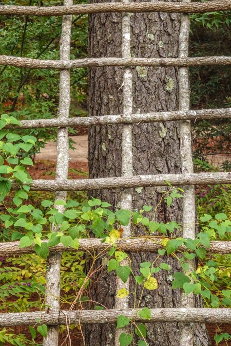 30 Garden Projects You Can Complete This Memorial Day Weekend Diy Trellis Sticks, Tree Branch Trellis, Stick Trellis Diy, Branch Trellis Diy, Living Willow Structures, Stick Trellis, Branch Fence, Garden Arbor Ideas, Diy Trellis Ideas