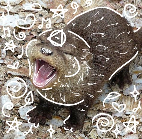 Drew this on procreate rather than on ibis paint, wdyt? Otter Therian, Animal Edits, Animal Pfp, Therian Pfp, Therian Masks, Therian Stuff, Otters Cute, River Otter, Maybe In Another Life