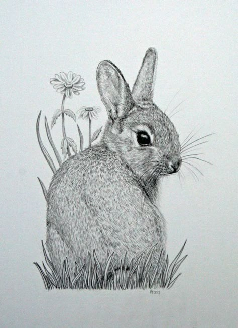 Original mounted pencil drawing of baby bunny Rabbit Drawing, Bunny Tattoos, Rabbit Tattoos, Bunny Drawing, Rabbit Art, Bunny Art, Baby Bunny, Art Et Illustration, Baby Bunnies