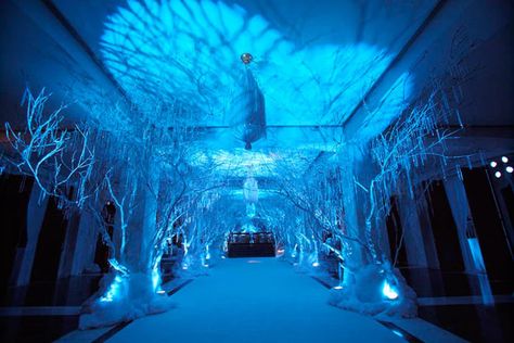 Winter Wonderland-party, Ice Party, Winter Party Themes, Wonderland Party Decorations, White Birch Trees, Adult Party Themes, Holiday Party Themes, Event Producer, Winter Event