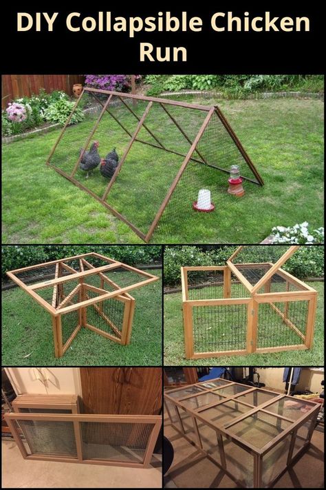 Would you like a chicken run or pen that you can 'store' when you don't need it? Why not build a collapsible chicken run? This is an easy project even though it has a few hinged components. The hinges are the key to its convenient size when stored. Head on over to our site to learn more about this clever system... Inexpensive Chicken Run, Space Saving Chicken Roost, Simple Diy Chicken Coop With Run, 10x10 Chicken Run, How To Attach Chicken Coop To Run, Facial Diy, Pullets Chickens, Chicken Boxes, Chicken Barn