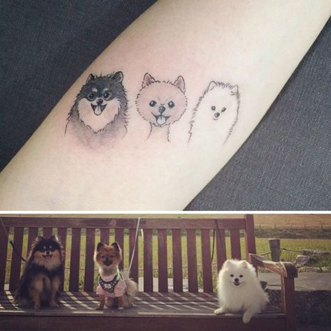 tattooist_doy Pomeranian Tattoo, Charming Tattoo, Tumblr Tattoo, Tatoo Dog, Chihuahua Tattoo, 22 Tattoo, Tier Tattoo, Pawprint Tattoo, Forearm Tattoo Design