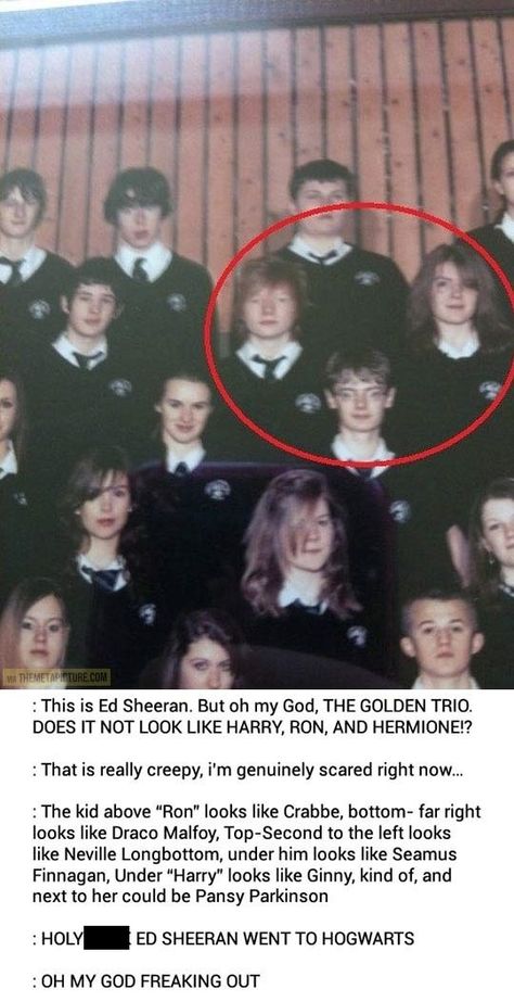 Ed Sheeran went to Hogwarts Ed Sheeran School Picture Harry Potter, Weird Ships Fanart, Drarry Fanart Top Harry, Older Harry Potter, Funny Harry Potter Pictures, Harry Potter Memes Funny, Meme Harry Potter, Princess Harry, The Golden Trio