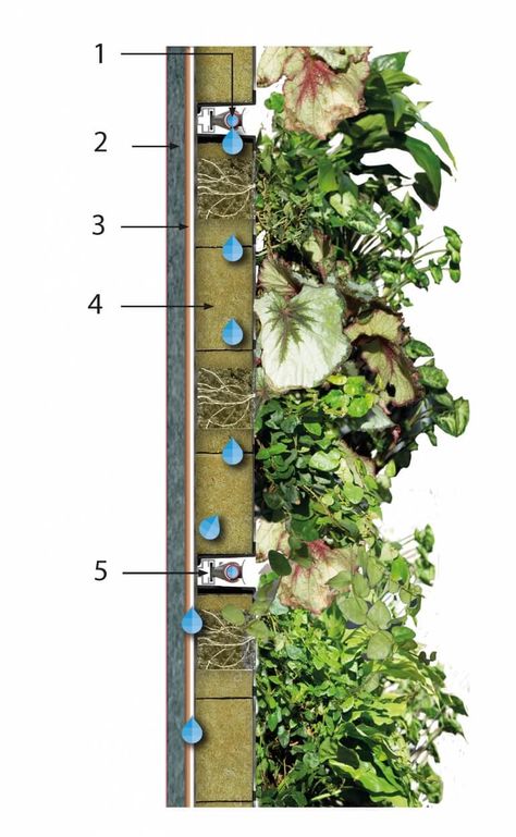 Green Wall Specification and Drawings - Biotecture Vertical Garden Watering System, Living Wall Architecture, Vertical Garden Architecture, Green Wall Architecture, Vertical Garden Wall Design, Green Wall Backdrop, Green Wall Garden, Vertical Garden Systems, Vertical Green Wall