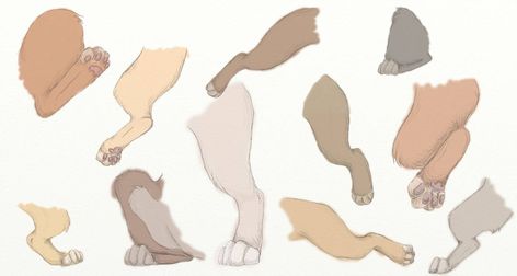 Cat Back Legs Drawing, Cat Leg Drawing, Cat Paw Anatomy, Legs Sketch, Cat Paw Drawing, Lion Anatomy, Legs Drawing, Anthro Cat, Paw Drawing