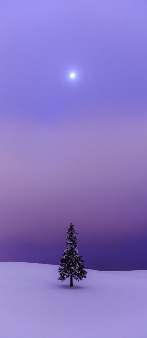 Found on http://tumblr.com/elandiam Winter Szenen, Lone Tree, W Hotel, Purple Sky, Winter Beauty, Snow Scenes, Winter Wonder, Purple Rain, Beautiful Tree