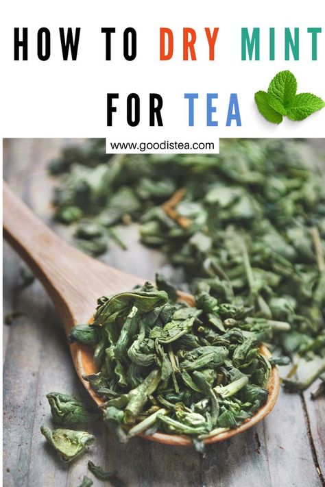 Learn how to dry mint for tea using our step-by-step guide. 3 methods to dry mint for tea. It's easy, quick and will save you money. Diy Mint Tea, Homemade Peppermint Tea, How To Dry Mint Leaves For Tea, Peppermint Tea Recipe, Tea Recipes Loose Leaf, Mint Tea Recipe, Drying Mint Leaves, Fresh Mint Tea, Medicine Herbs