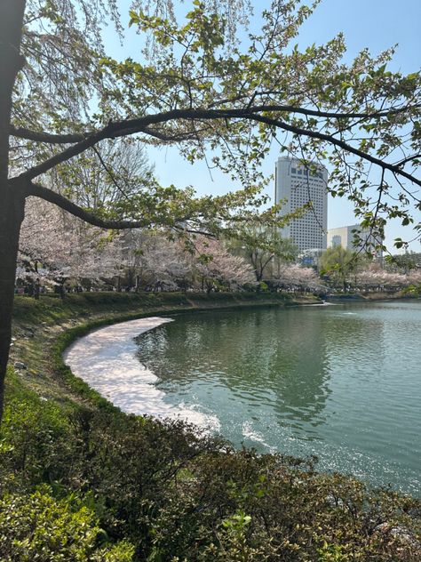 Seokchon Lake in Seoul, South Korea South Korea House, Seoul In Spring, South Korea Winter, Korea Country, Dream Location, House Aesthetics, Korea Winter, Korea Aesthetic, Dream Country