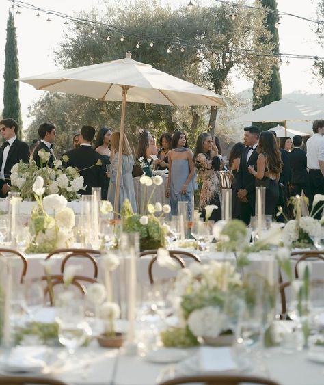 Michelle Selko-Cohen (@creativelightdesign) • Instagram photos and videos Garden Wedding Reception, Romantic Garden Wedding, Romantic Wedding Decor, Wedding Decor Inspiration, Olive Trees, Romantic Garden, Love Natural, Neutral Decor, Mediterranean Style