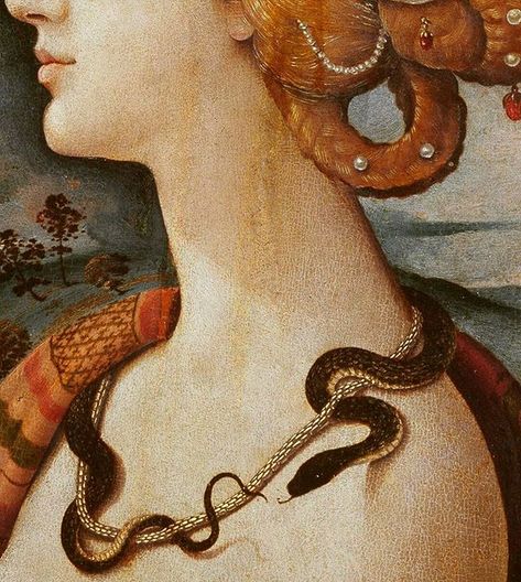 Simonetta Vespucci, Istoria Artei, Rennaissance Art, Albrecht Durer, Art Ancien, 수채화 그림, Victorian Art, Old Paintings, A Snake