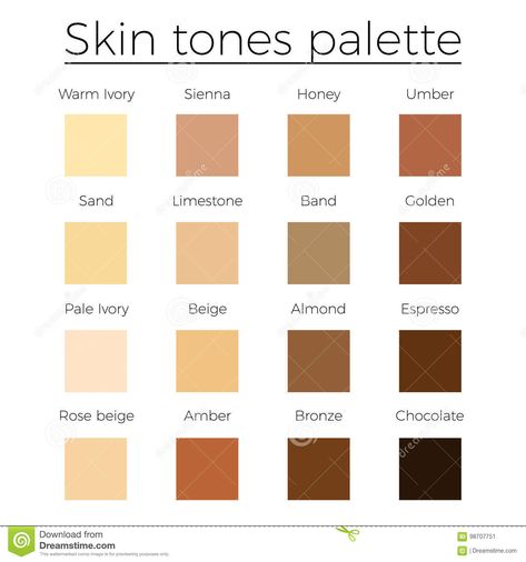 Skin Tones Color Palette Vector Stock Vector - Illustration of glamour, human: 98707751 Skin Tones Color Palette, Find Skin Tone, Joke Writing, Skin Tone Chart, Skin Color Chart, Which Hair Colour, Art Learning, Hair Color Chart, Color Skin