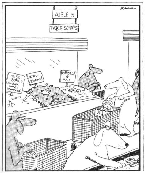 Farside Comics, Gary Larson Far Side, Dog Cartoons, Gary Larson Cartoons, Far Side Cartoons, Far Side Comics, Dog Comics, Sick Humor, Gary Larson