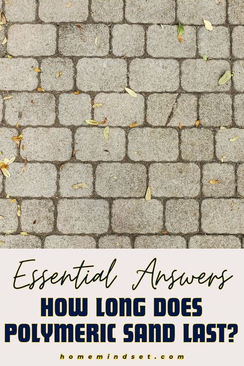 Get answers to the lifespan of polymeric sand! This guide covers everything you need to know. Ensure your pavers stay securely in place. Polymeric Sand Diy, Polymeric Sand Pavers, Nj House, Aggregate Patio, How To Lay Pavers, Paver Sand, Industrial Chic Interior, Polymeric Sand, Diy Techniques And Supplies