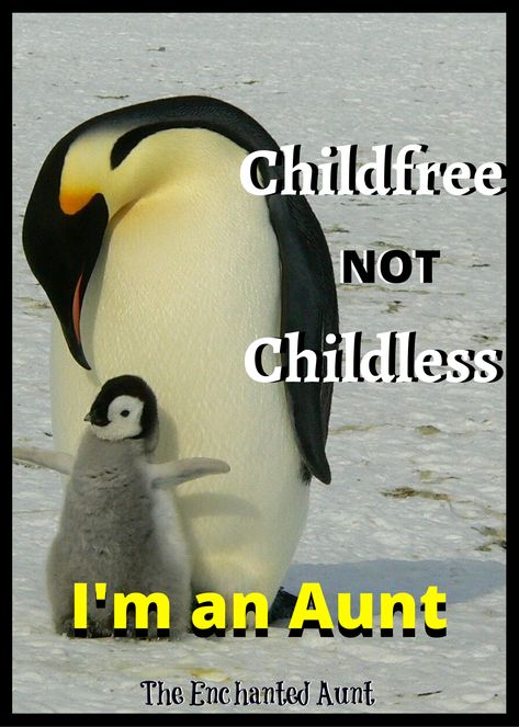 What it means to be a childless Aunt.  Though I don’t have the title of Mommy, I do have a very special connection with the children in my life. In fact, I have a great title that I‘m quite proud of, I’m an Aunt. #auntquotes #childless #childfree #childlessaunt #childfreememes #childfreequotes Auntie Things, Niece Quotes From Aunt, Healthy Tricks, Proud Aunt, Niece Quotes, Aunt Quotes, Mom Birthday Crafts, 50th Birthday Quotes, Sister Poems