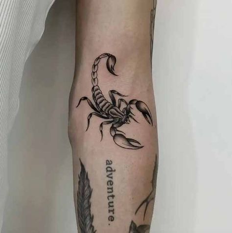 Animal And Insect Tattoos, Men Scorpio Tattoo Ideas, Scorpio Arm Tattoo, Scorpion Tattoo On Arm, Scorpio Tattoo Arm, Scorpion Arm Tattoo, Scorpion Tattoo Design For Women, Scorpio Hand Tattoo, Realistic Scorpion Tattoo