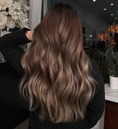 Medium Champagne Hair Color, Champagne Hair Color, Beige Hair Color, Champagne Hair, Brown Hair Inspiration, Wedding Hair Colors, Beige Champagne, Beige Hair, Brown Hair Looks